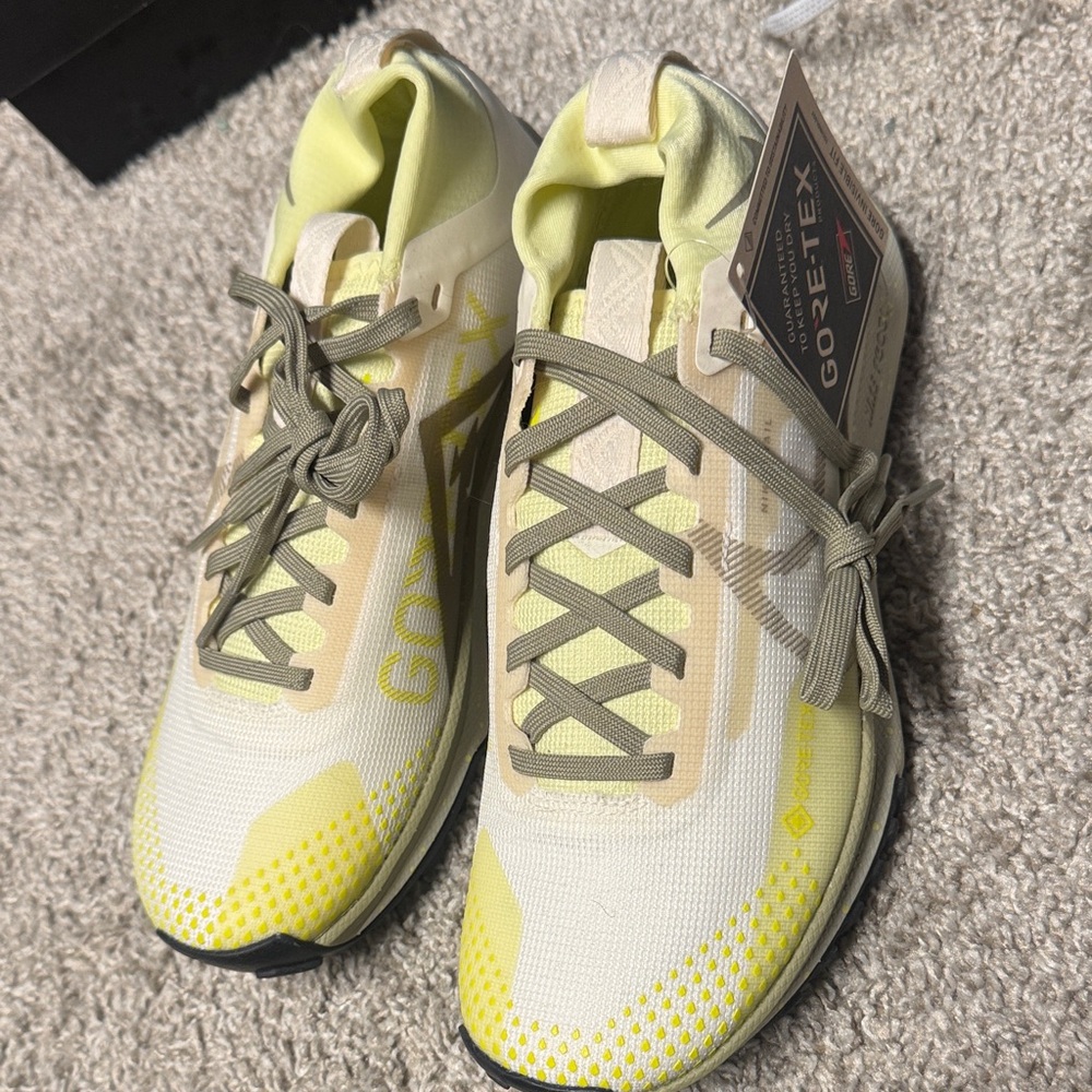 Nike Pegasus Trail GORE-TEX Running Shoes